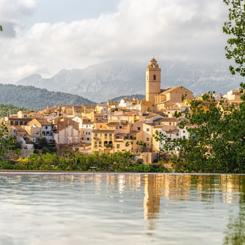 shutterstock 2036537459 - Polop